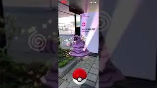 Catching Grimer Pokemon Go [RandomVidsTV] 🇳🇱