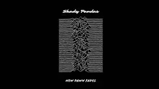 Shady Pandas - New Dawn Fades