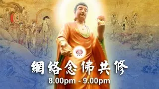 【同步】净土宗网络念佛【第238天】 + 开示视频《阿弥陀佛要救我们》 2020-11-10 Online Recitation Session（晚上8pm-9pm (GMT+8))