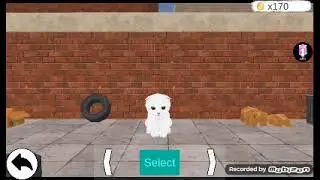 cats park vs cute pocket cat 3D vs cat run
