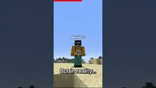 Minecraft Firework Rockets: EXPECTATION VS REALITY