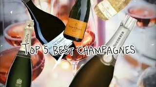 TOP 5 BEST CHAMPAGNES!