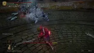 Elden Ring build sir robin monty phyton