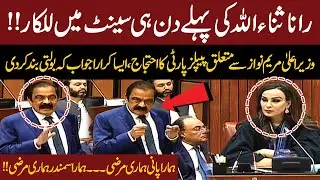 Rana Sanaullah Roars on First Day in Senate | PPP vs PMLN | Maryam Nawaz Statement | Viral Speech