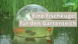 Einen Fischkugel f&uuml;r den Gartenteich | MDR