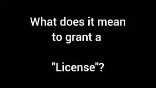 Meaning of: License