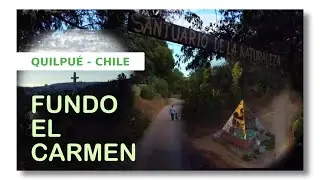Quilpue Nature Sanctuary: Fundo El Carmen in 4K