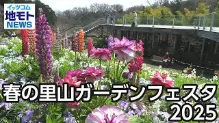 春の里山ガーデンフェスタ2025【地モトNEWS】2025/4/2放送