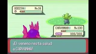 POKEMON EMERALD | CARVANHA | CHAPOTEOLODO | MUD SPORT