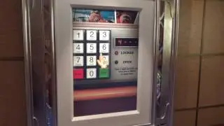 Disney Fantasy Mid Ship Detective Agency, Stateroom Search