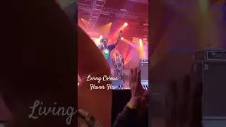 Living Colour and Flavor Flav at The Sands in Mexico