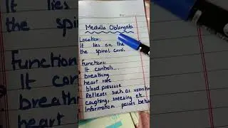 BRAIN (FOREBRAIN, MIDBRAIN, HINDBRAIN)
