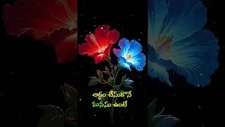 love status #whatsapp #love #lovestatus #whatsapp_status #whatsappstatus #like #viral #status