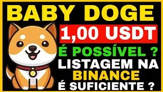 BABY DOGE 1 D&Oacute;LAR 😍 LISTAGEM NA BINANCE SERIA SULFICIENTE ?