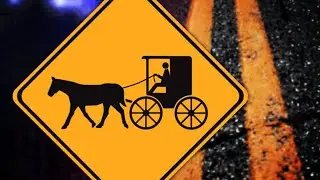 Amish Buggy Crash