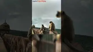 Majestic views of Jaigarh Fort, Jaipur, captured in 2016 #travel #travelshorts #scenic #spongebob
