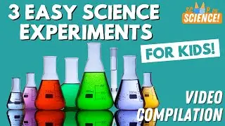 3 Easy Science Experiments to do at Home! | Scoop on Science Compilation 🧪 | The Paper Girls Show