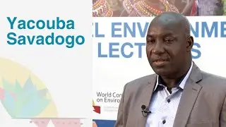 Environmental law in Francophone Africa (Le droit de l'environnement en Afrique Francophone)