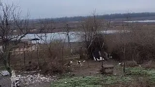 ZAPOROZHYE = FRONTLINE TERRITORY = THE SITUATION IS WORSENING 😡.