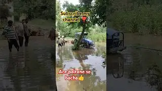 #ace platne se bacha #350 #trenfingshortvideo #2024 #trend #farming