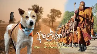 aloka journey of peace