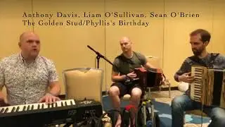 The Golden Stud/Phyllis' Birthday, Irish reels