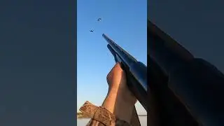 Real Bird Hunting Action 2025 | Hunting Lifestyle