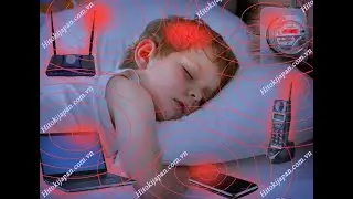 Video test Chip Ngăn S&oacute;ng Điện Từ Hitoki