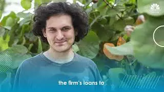 bonnie ellison testifies in sam bateman's criminal trial #bitcoin #sbf #cryptocurrency #caught