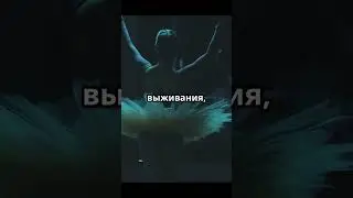 Top movie Ballerina 2025
