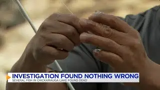 TWRA Biologist signals an improvement in conditions at Chickamauga Lake after hundreds of dead