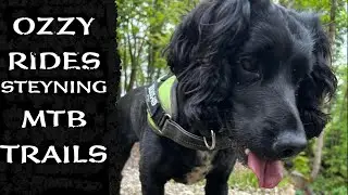 Ozzy rides Steyning MTB trails