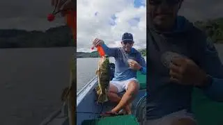 Pescaria Represa Ribeir&atilde;o das Lajes