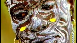 African Ceremonies by Carol Beckwith & Angela Fisher