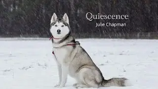Julie Chapman - Quiescence (Official Music Video)