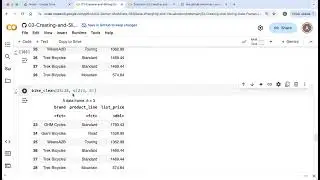 Practice Indexing the Bike Sales Data Frame in R
