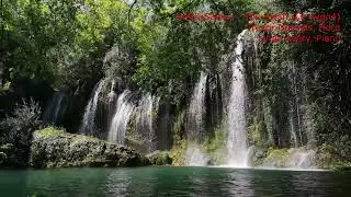 Saint-Saens - The Swan - Trevor Nuckols + Linda Avery