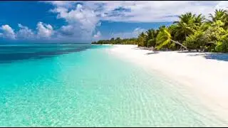 Tropical Beaches - steve creature #beats #peaceful #music 