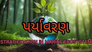 stratification in Marine ecosystem