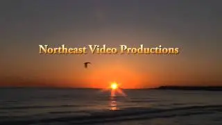 Northeast Video Production's Logo