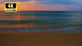 Ocean Ambience 4K. Tropical Beach & Ocean Waves Sounds