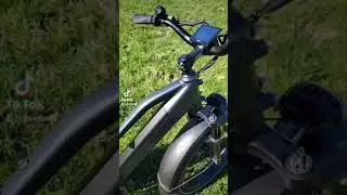 Dirwin Pioneer Step-thru Fat Tires Electric Bike