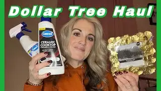 Dollar Tree Haul ( name brands and Pennies )