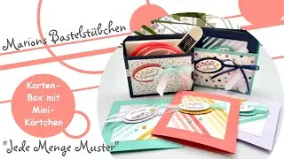 Kartenbox mit Mini-K&auml;rtchen basteln mit 