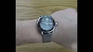 Paularies Seamaster Homage