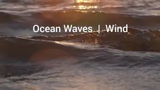 Ocean Waves | Wind Sounds for Deep Sleep & Relaxation (8 Hours)