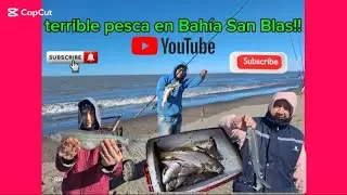Mucha pescadillas y pejerrey matungo en Bahía San Blas,picaban a 10 metros de la orilla, increíble!!