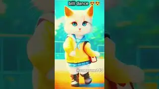 Billi dance#cat #dance #shortvideo #shorts #short #cotton