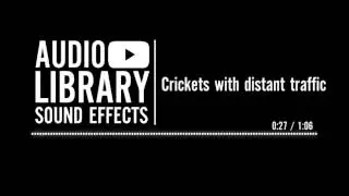 Crickets with distant traffic - Sound Effect