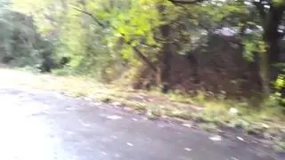GUILD WHEEL LEAVES DANGER